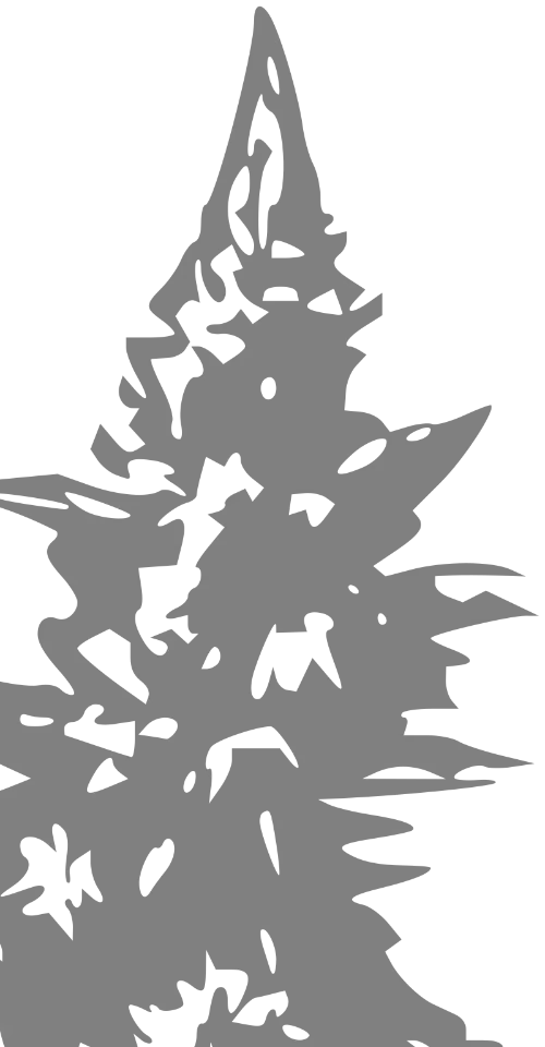 Copa Delta Bogotá 2025