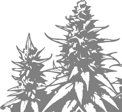 Copa Delta Bogotá 2025